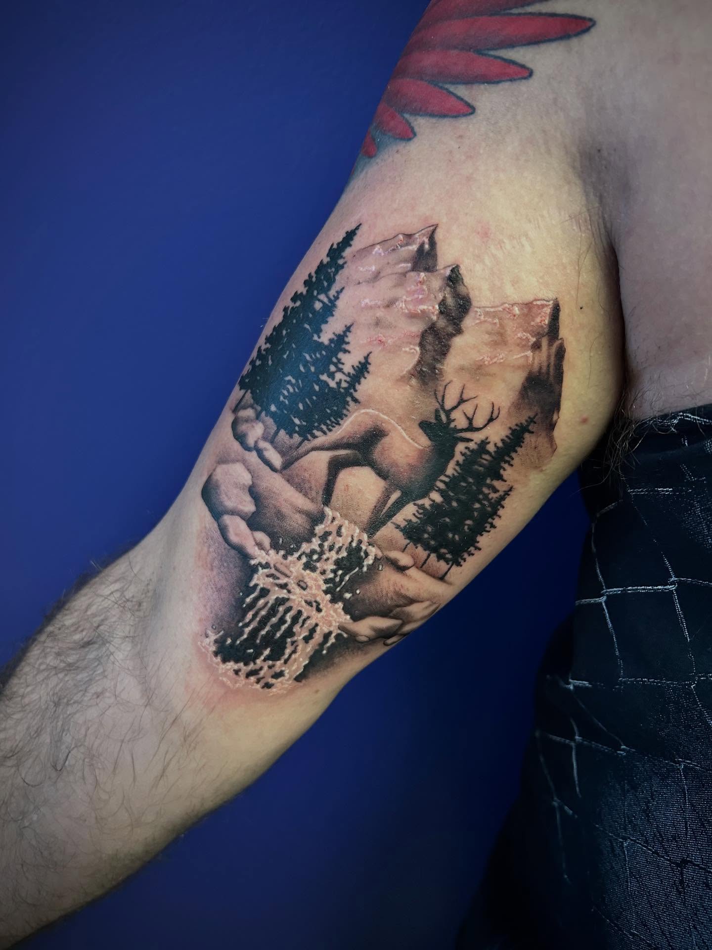 Tattoo by @dani_does_tatts โ realism, black_and_grey