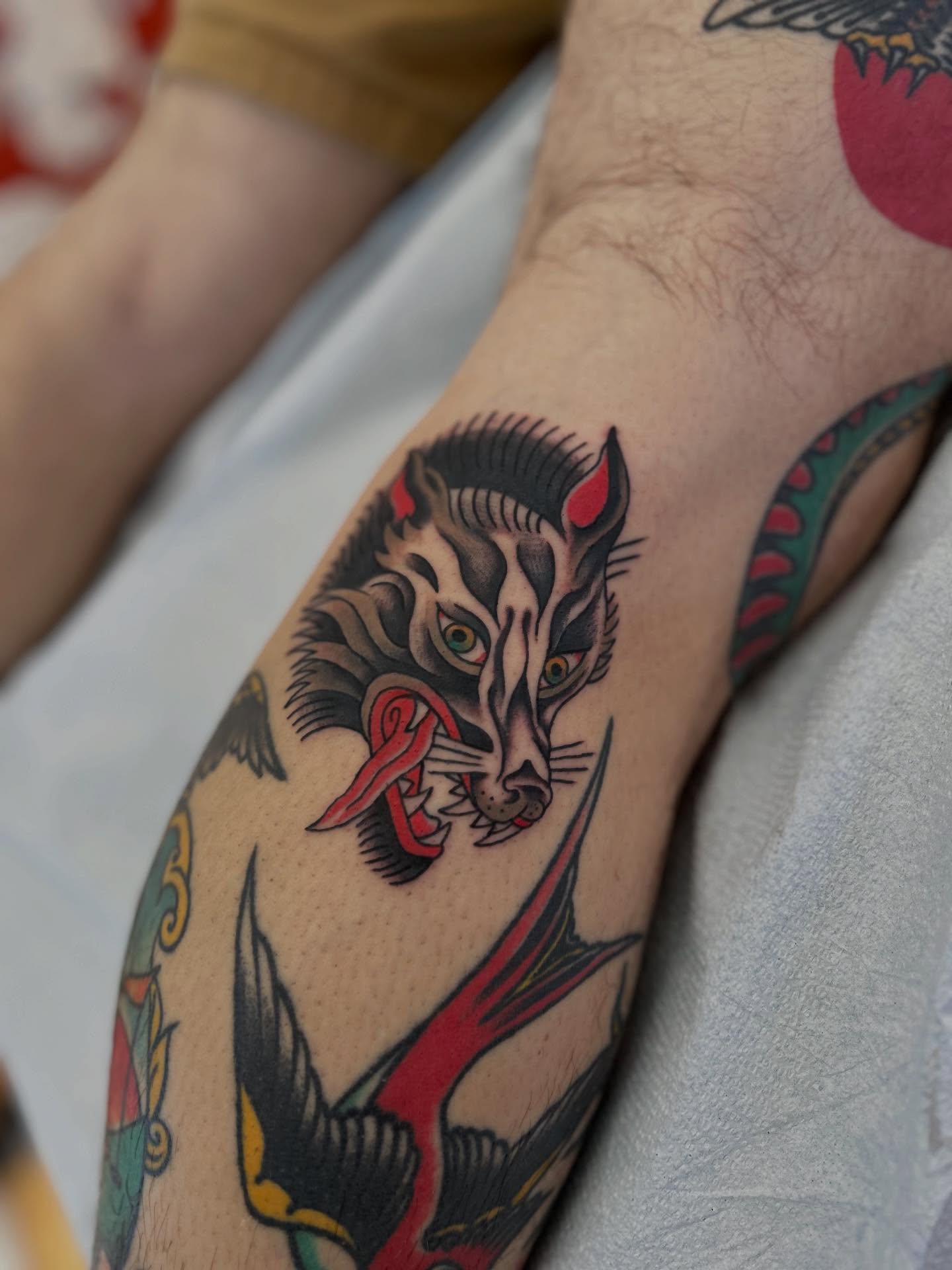 Cat American traditional tattoo on the forearm by Matthew Crimson