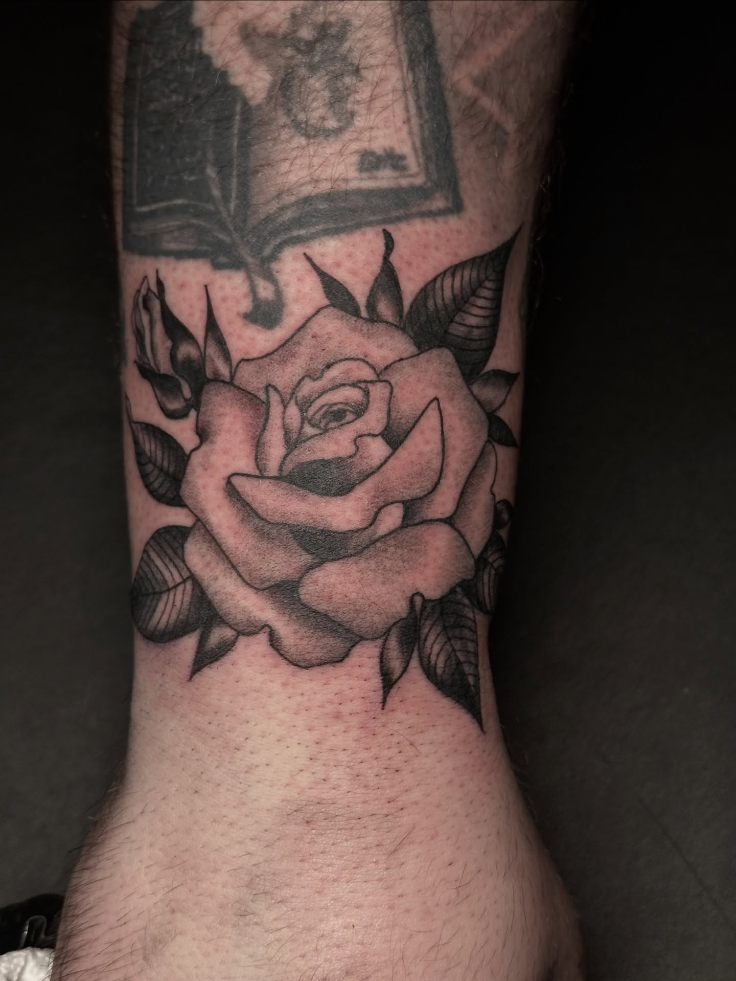 Rose black and grey tattoo on the forearm by Sequoia Rose, Portland, Oregon