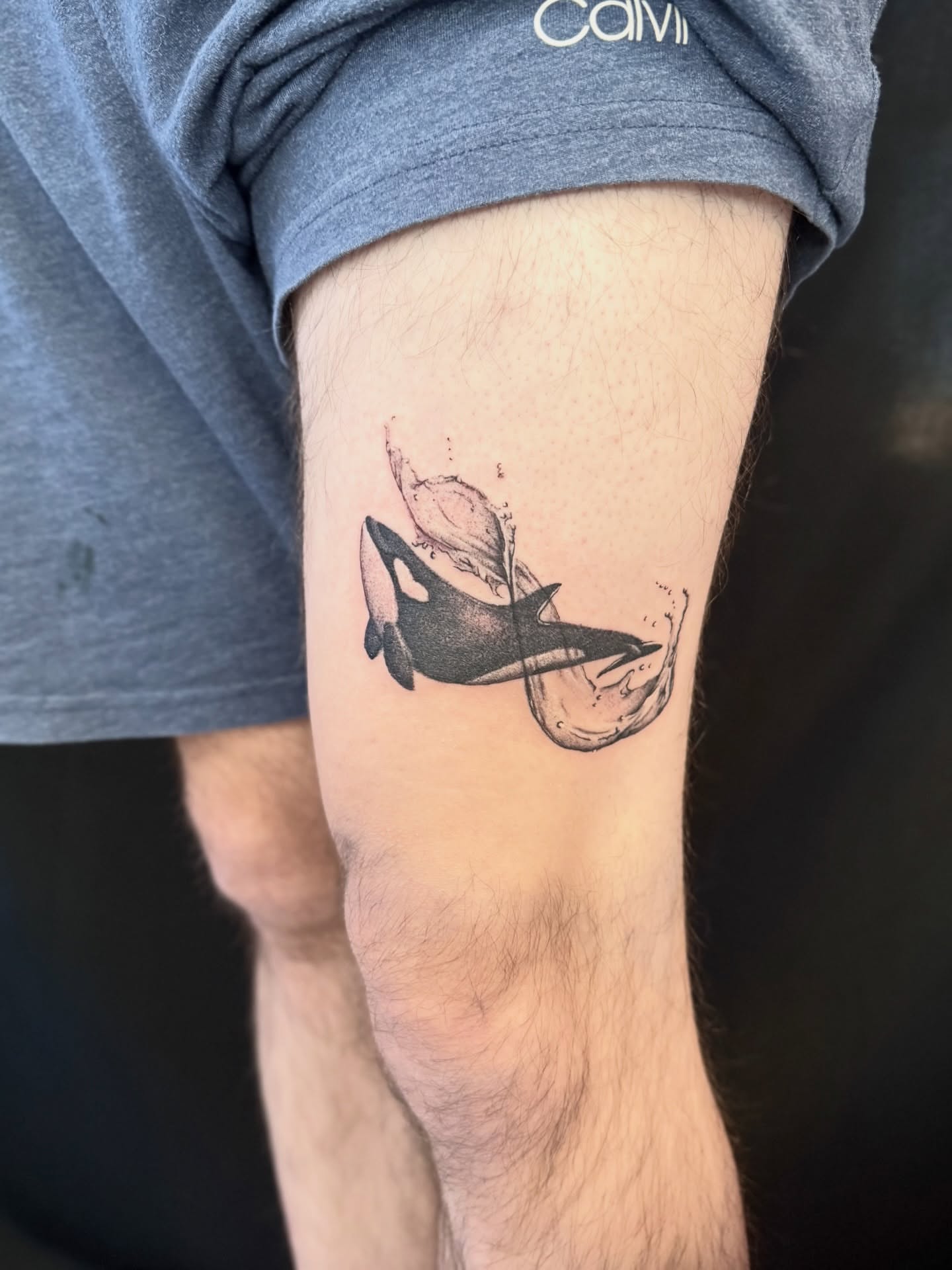 Orca whale realism tattoo on the forearm by Miro Ink Tattoo
