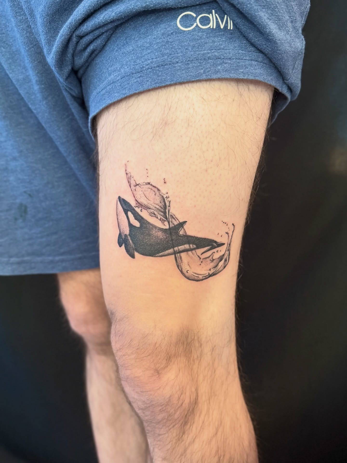 Orca whale realism tattoo on the forearm by Miro Ink Tattoo