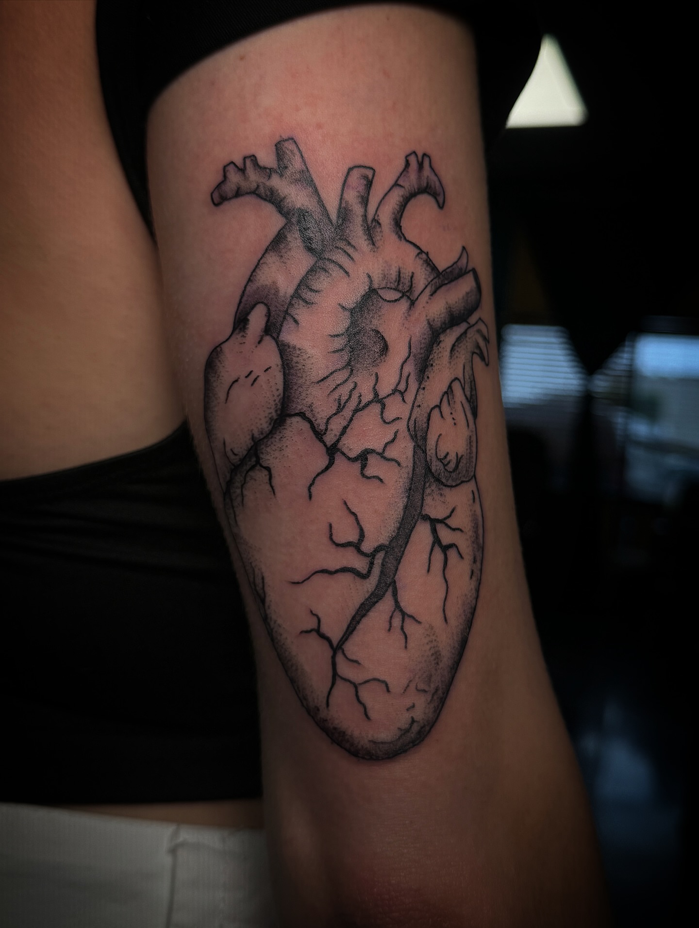 Anatomical heart realism tattoo on the forearm by star🪭