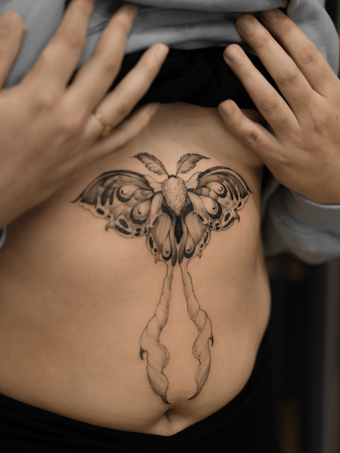 Moth black and grey tattoo on the torso by Marek