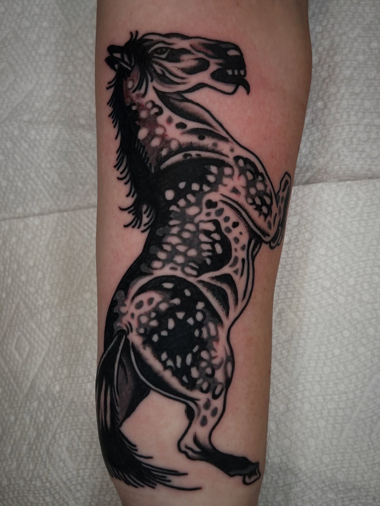 Leopard black and grey tattoo on the forearm by 💥Jeff Klug💥, Austin, Texas