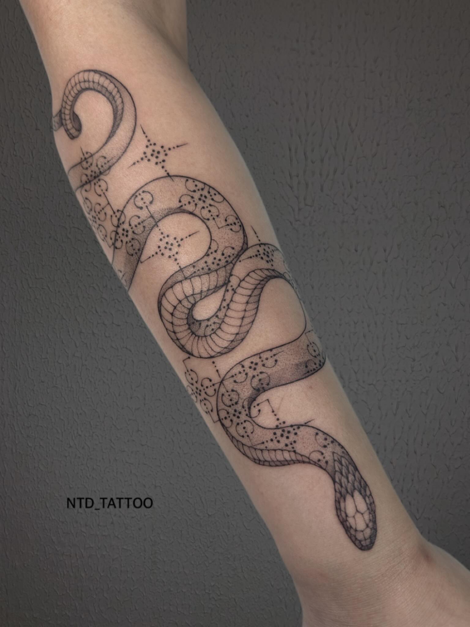 Snake dotwork tattoo on the forearm by Tetiana Maxon