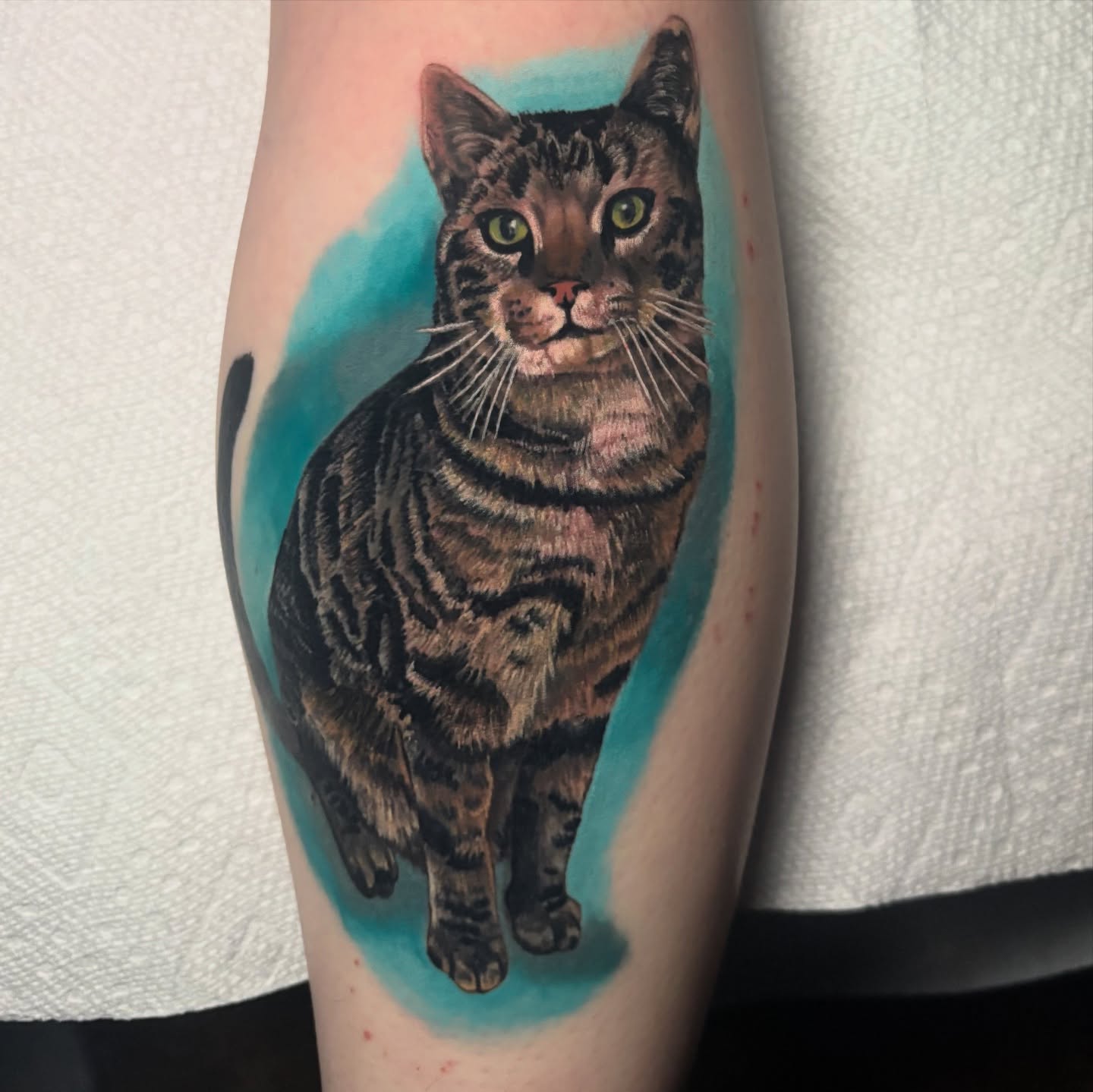 Cat realism tattoo on the forearm by Marianna Lombardi