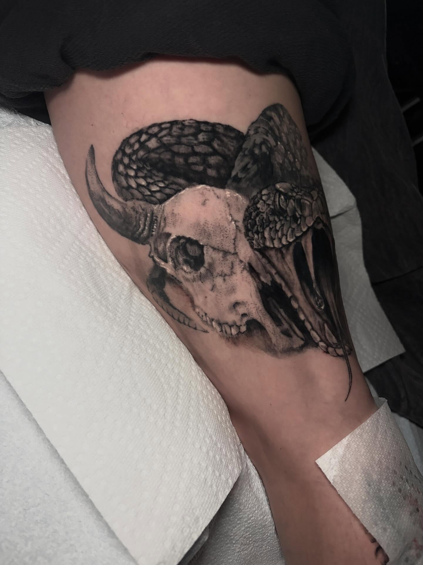 Bull skull with snake realism tattoo on the forearm by Ashley Denise