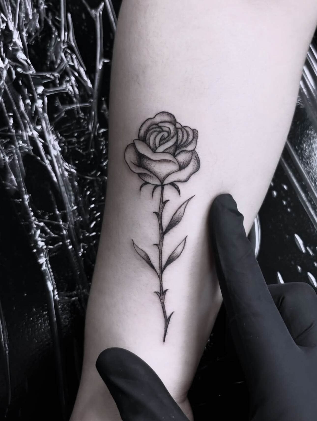 Rose dotwork tattoo on the forearm by Madison Orchard Tattoos