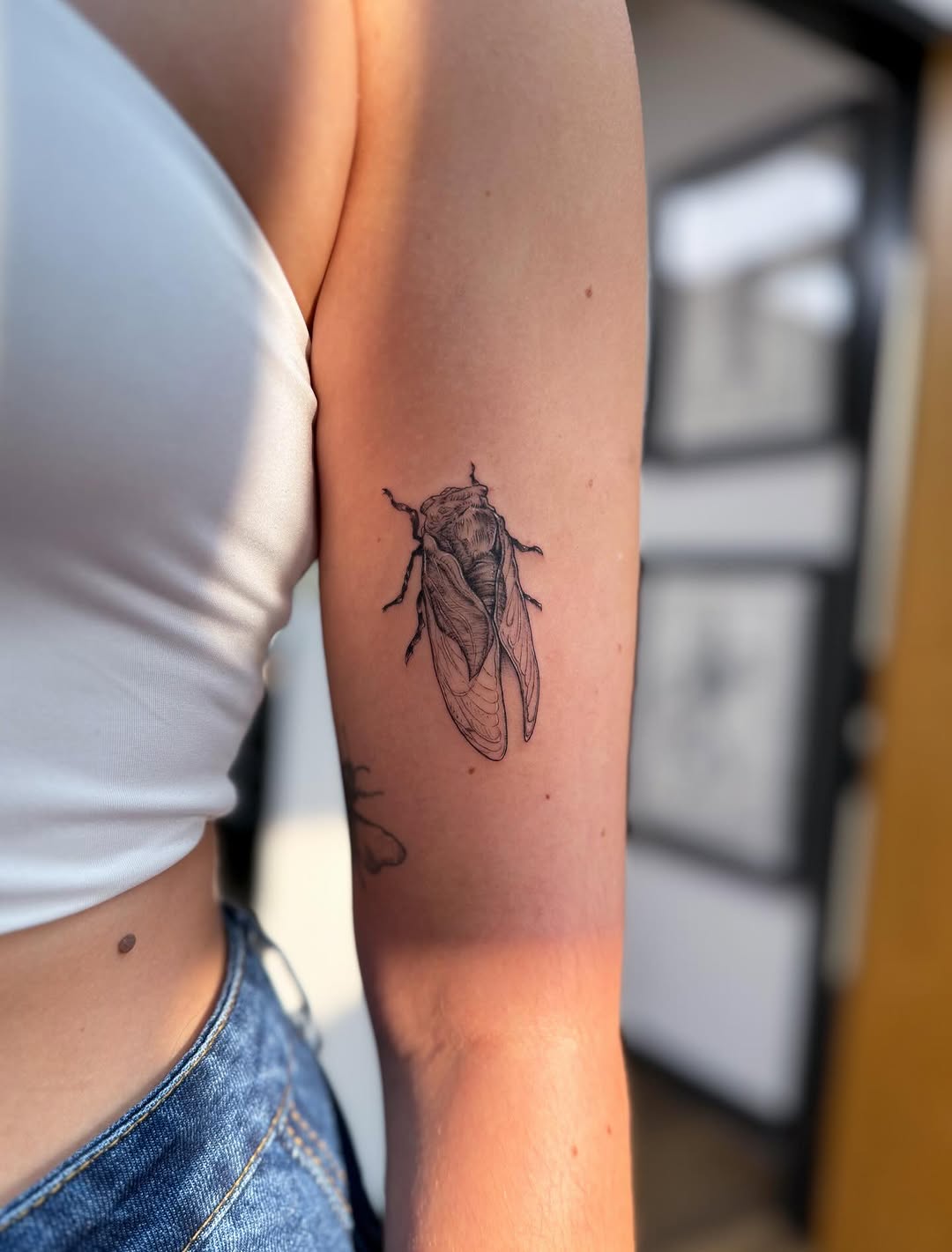 Tattoo by @bassalo.fineline — fine_line, illustrative