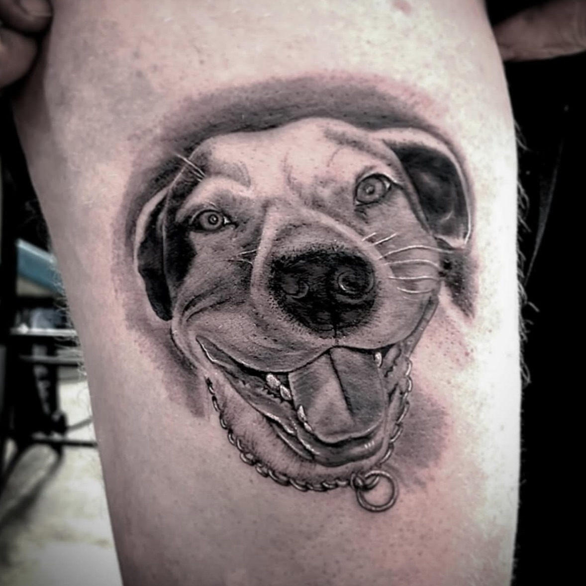 Dog realism tattoo on the forearm by Caitlin Curtis Tattoos & Booking, Dayton, Ohio