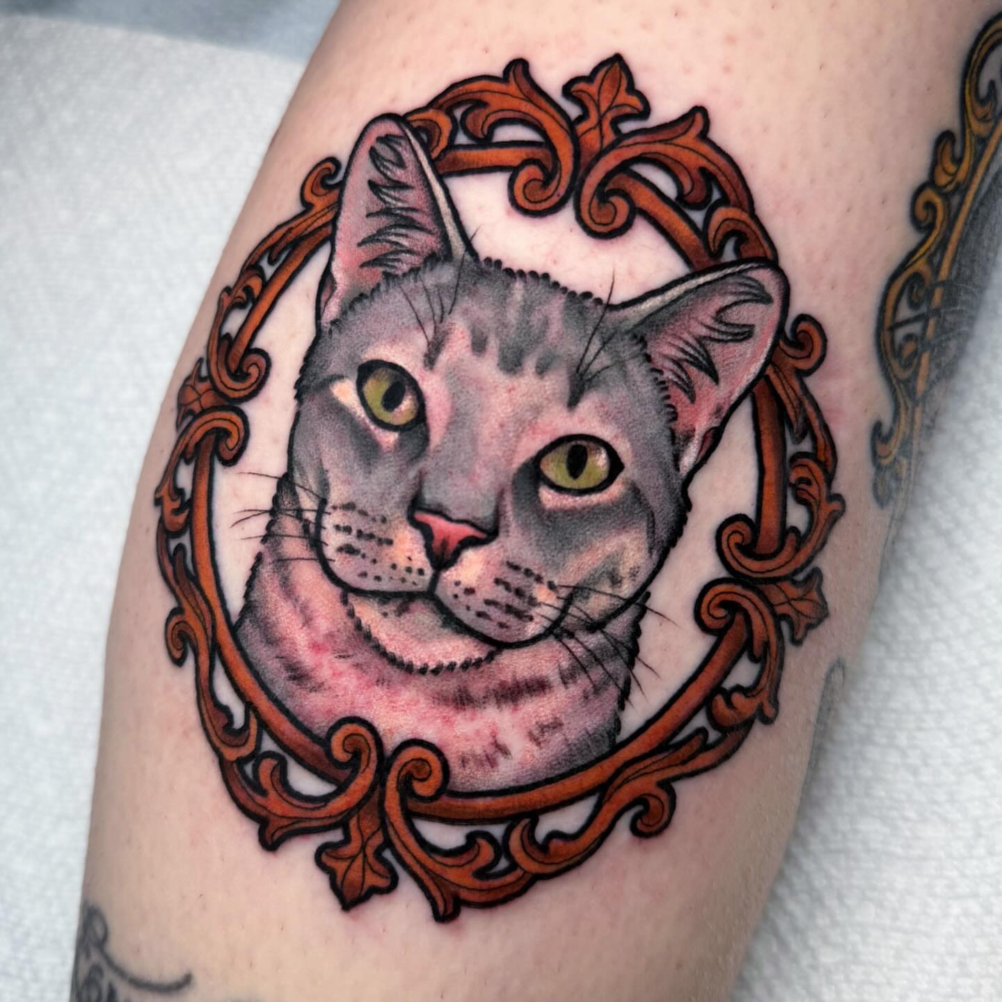 Cat realism tattoo on the forearm by Dani Johnson