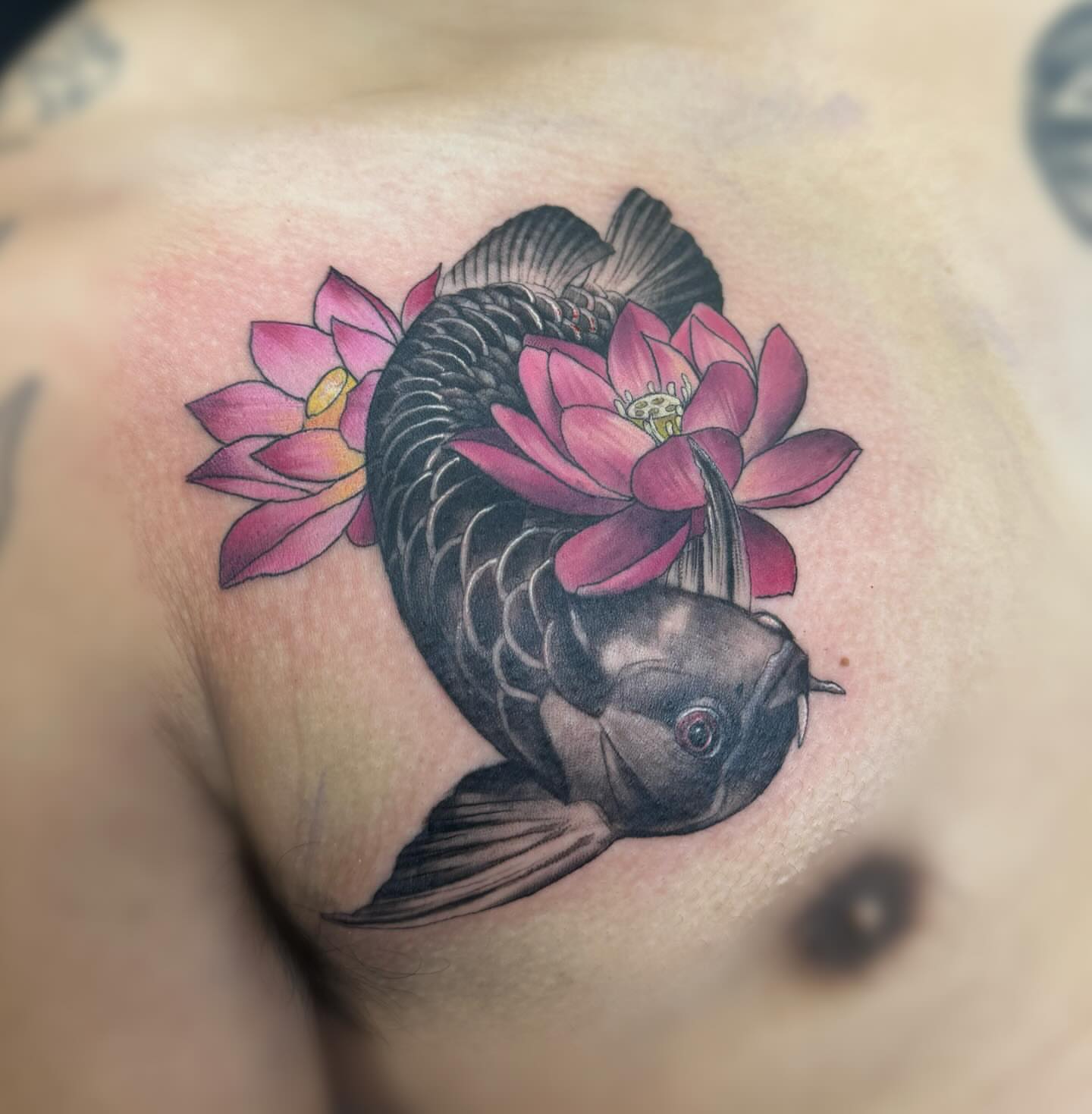 Koi fish and lotus flower realism tattoo on the chest by Elly Bordwell