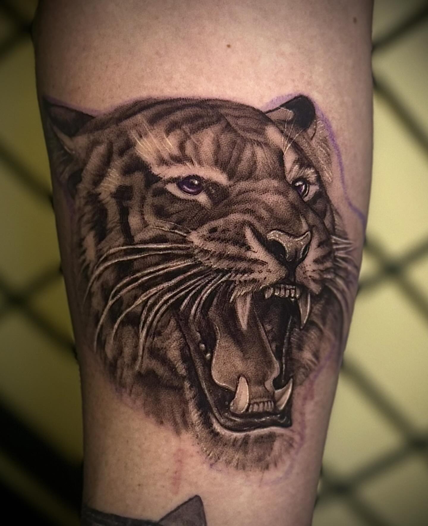 Roaring tiger realism tattoo on the forearm by Mandi Marie, Charlotte, North Carolina