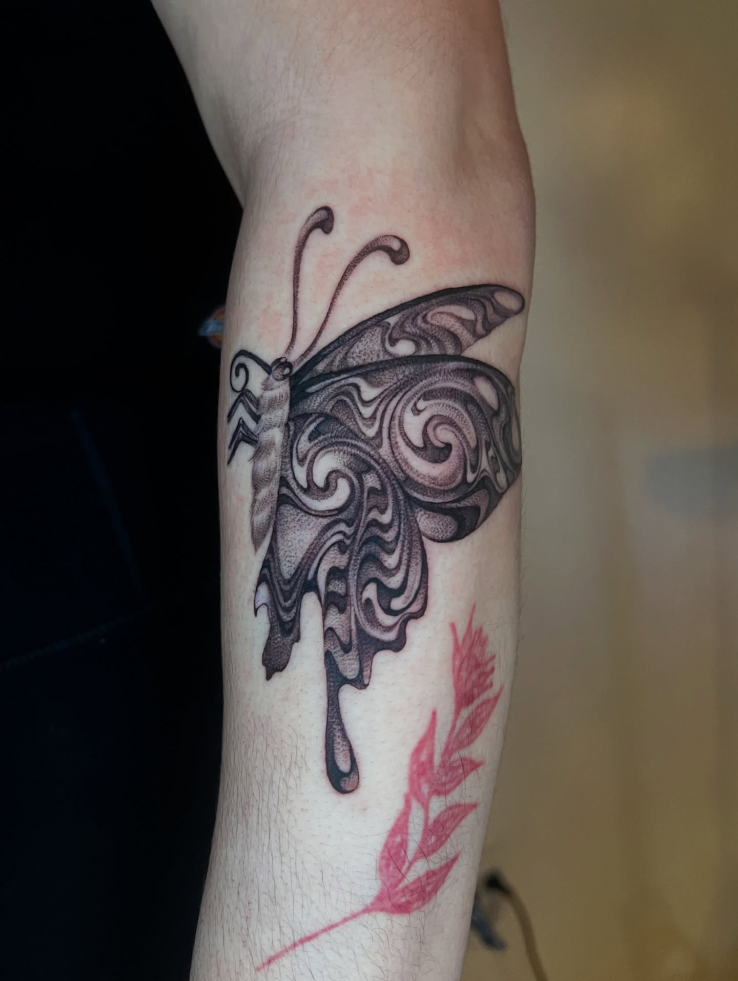 Butterfly dotwork tattoo on the forearm by ๐ค ๐๐๐๐๐๐ ๐ค