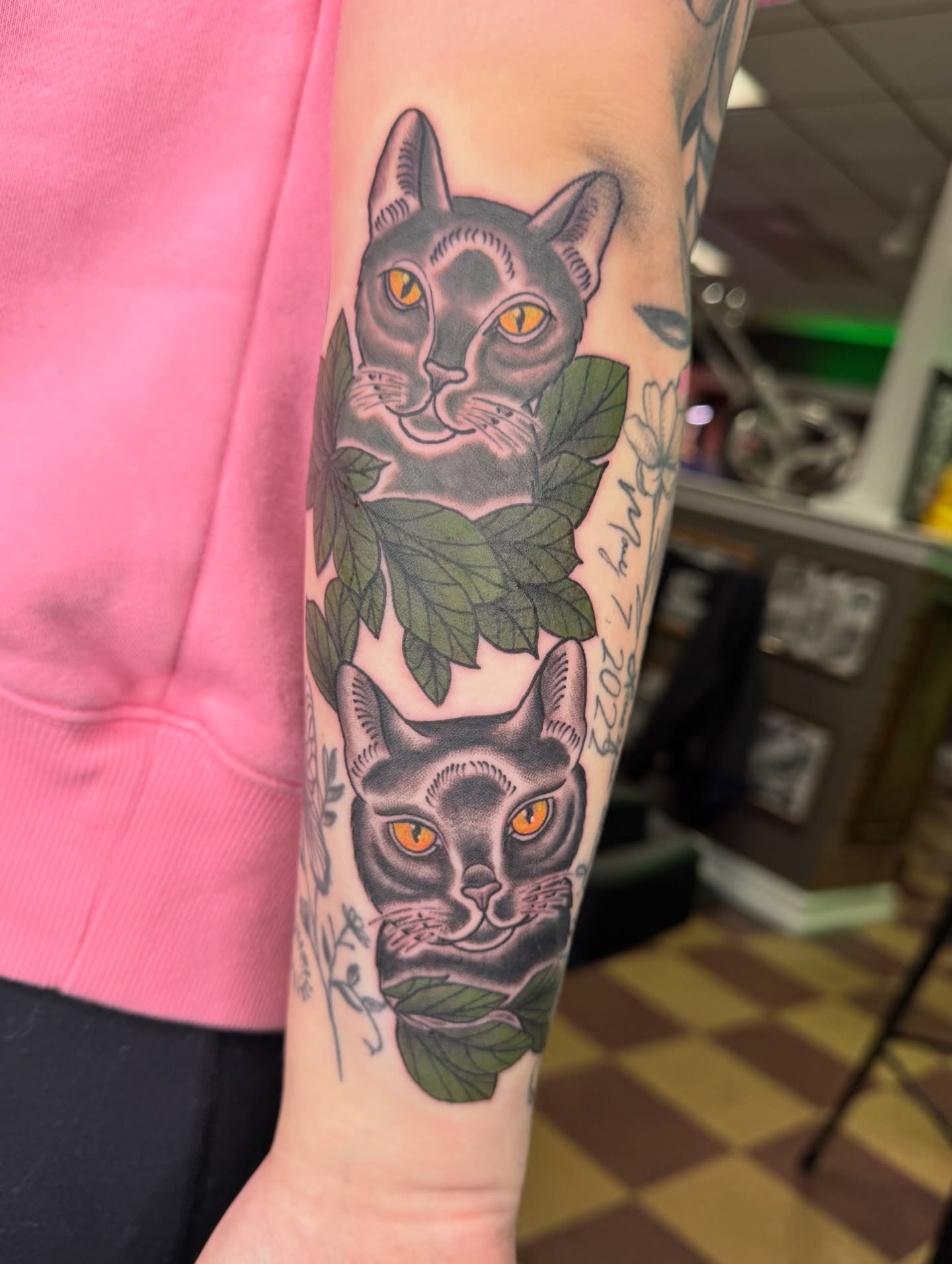 Cat American traditional tattoo on the forearm by Cora Phelps