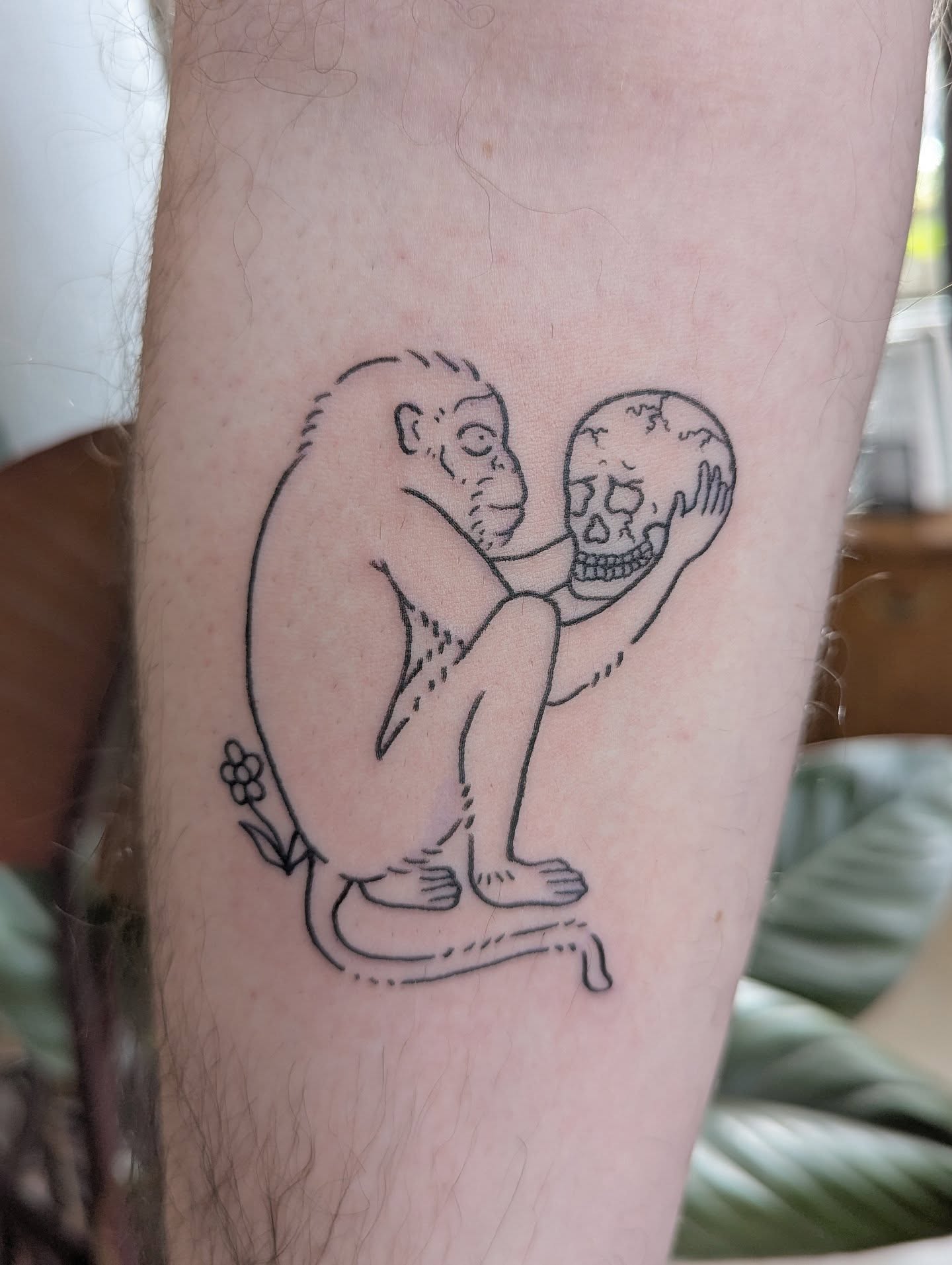 Monkey holding skull black and grey tattoo on the forearm by Patricio