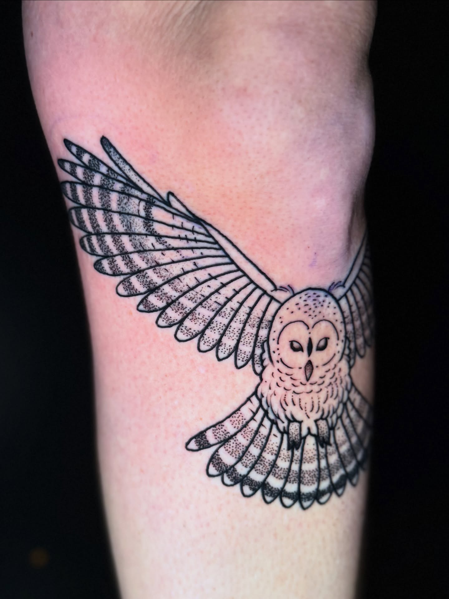 Owl dotwork tattoo on the forearm by 🍄Annie Burkhard🍄, Indianapolis, Indiana