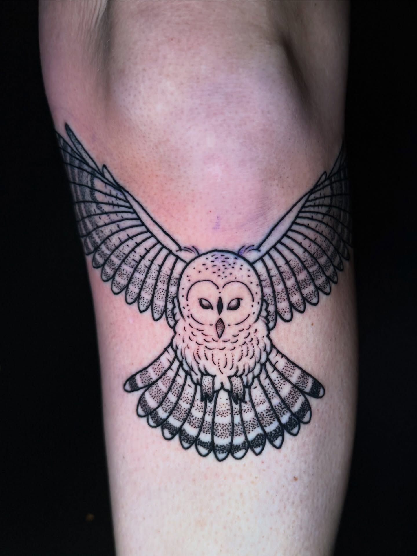 Owl dotwork tattoo on the forearm by 🍄Annie Burkhard🍄, Indianapolis, Indiana