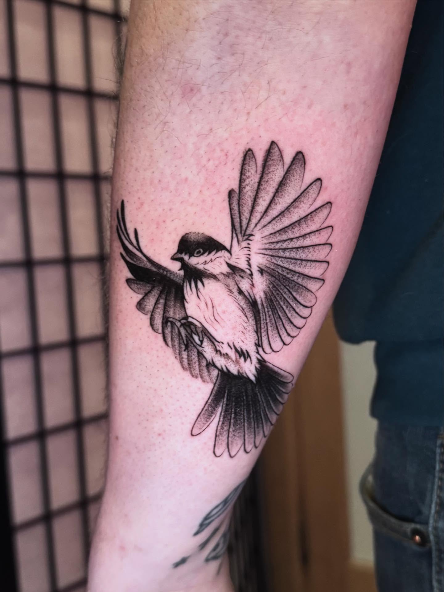 Bird dotwork tattoo on the forearm by Morgan Peeples