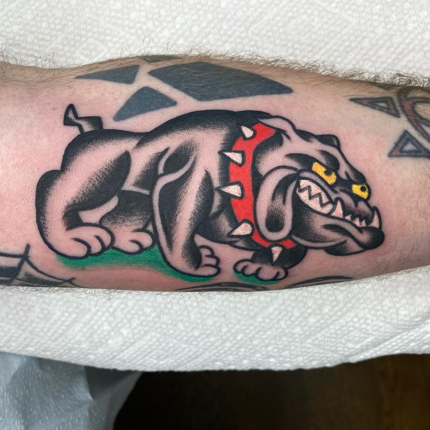 Bulldog American traditional tattoo on the forearm by Jack, Knoxville, Tennessee
