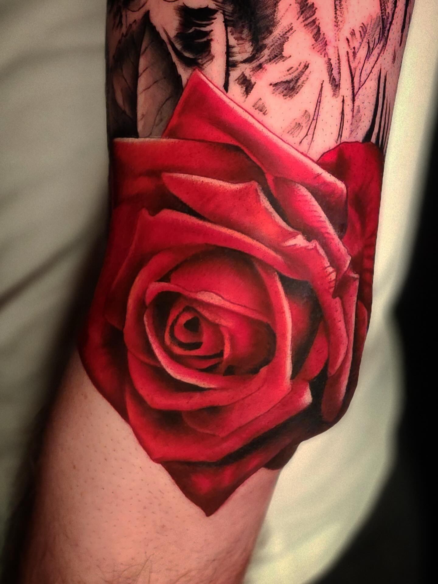 Red rose realism tattoo on the forearm by Su Kang