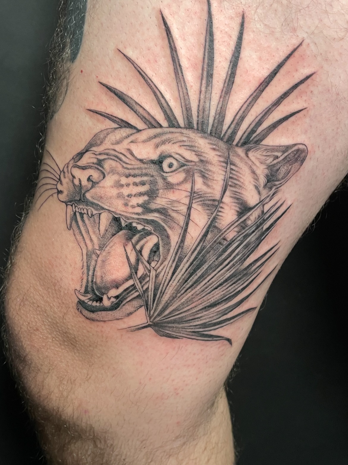 Roaring panther realism tattoo on the thigh by Eryn, Portland, Oregon