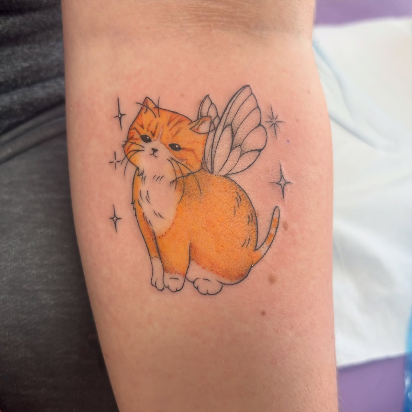 Cat with wings illustrative tattoo on the forearm by Ivanna