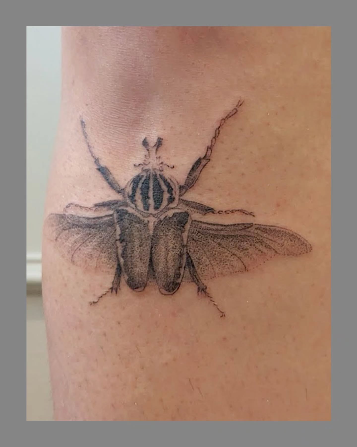 Beetle realism tattoo on the forearm by Marria