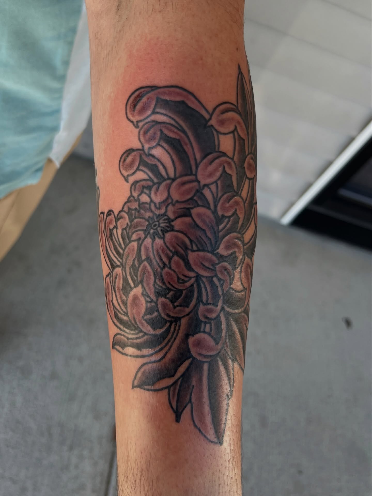 Chrysanthemum black and grey tattoo on the forearm by Trevor Berry