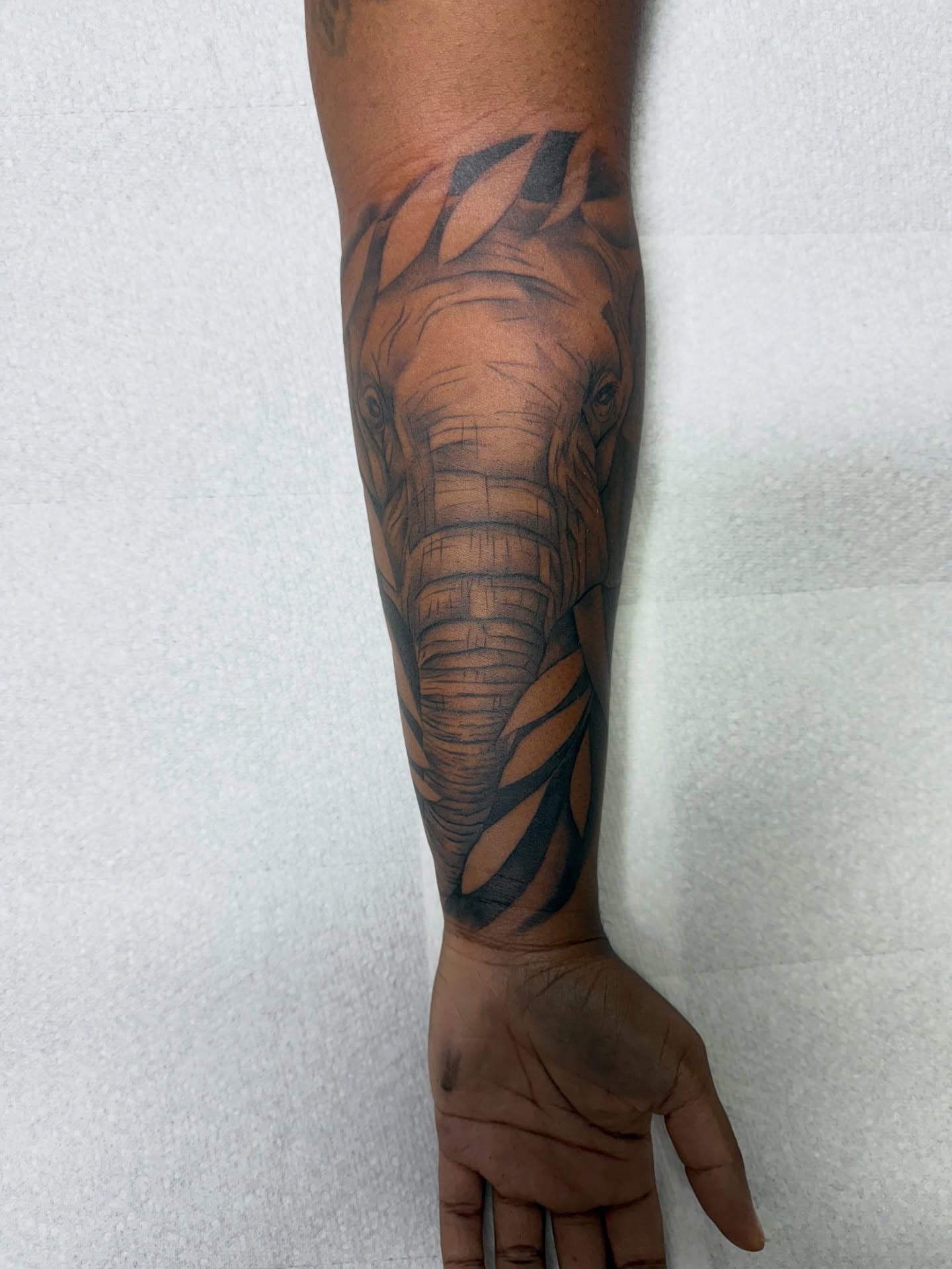 Elephant realism tattoo on the forearm by Savannah Tattoo Artist