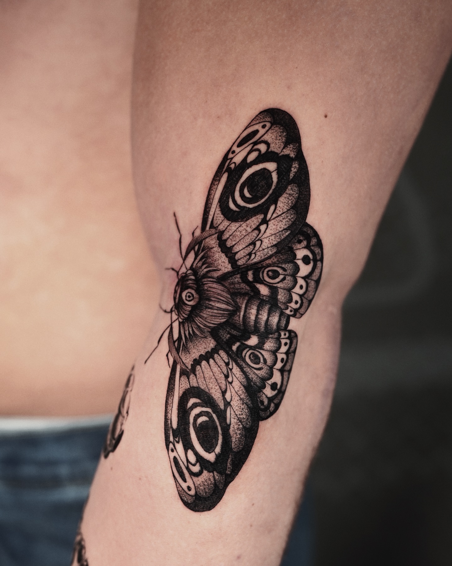 Butterfly dotwork tattoo on the thigh by @katuvetattoo