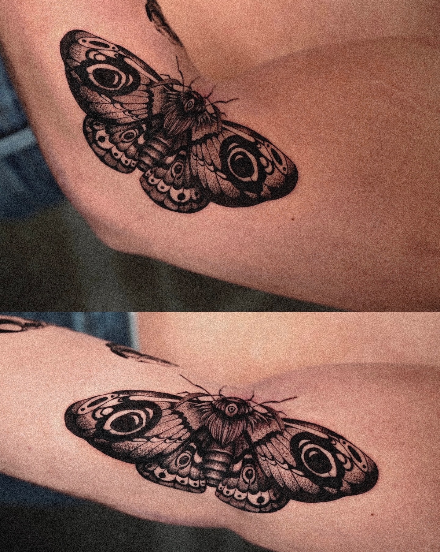 Butterfly black and grey tattoo on the forearm by @katuvetattoo