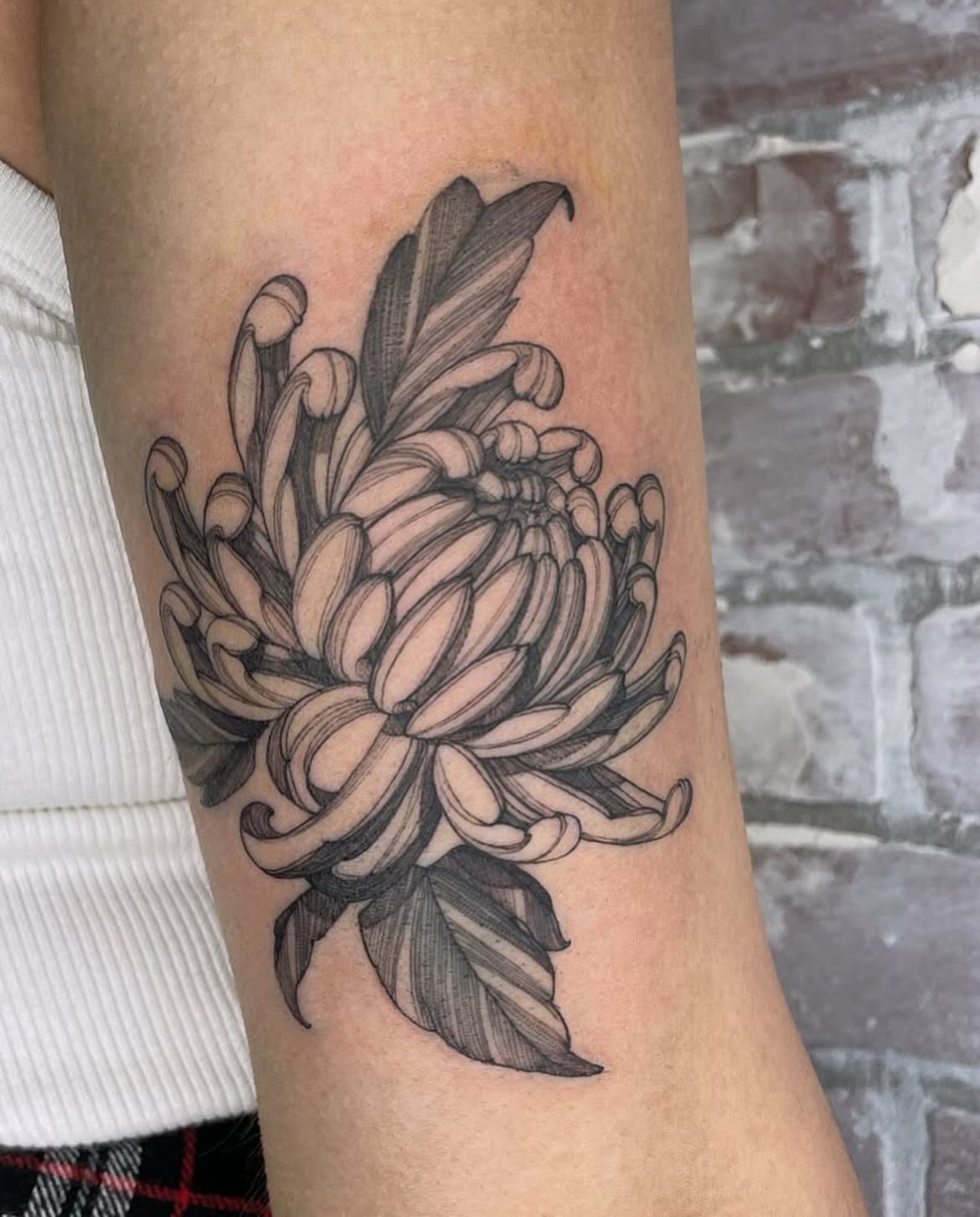 Chrysanthemum black and grey tattoo on the forearm by Carol Jacky