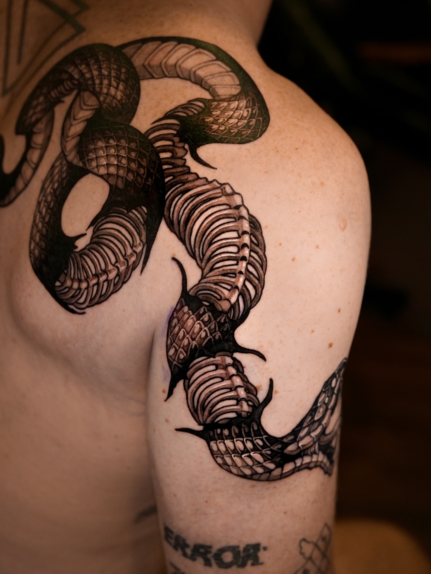 Snake black and grey tattoo on the shoulder by Blackwork A P S O