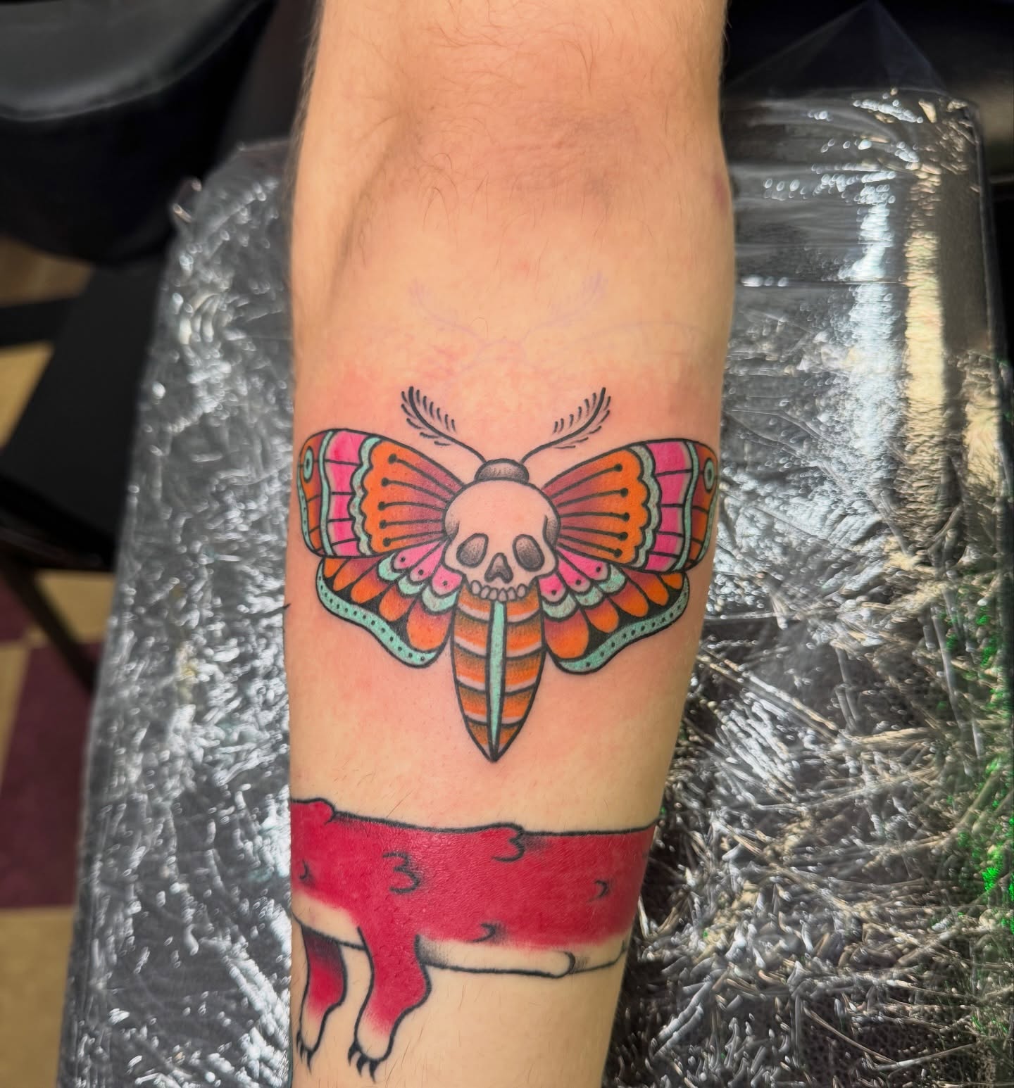 Butterfly skull new school tattoo on the forearm by Cora Phelps