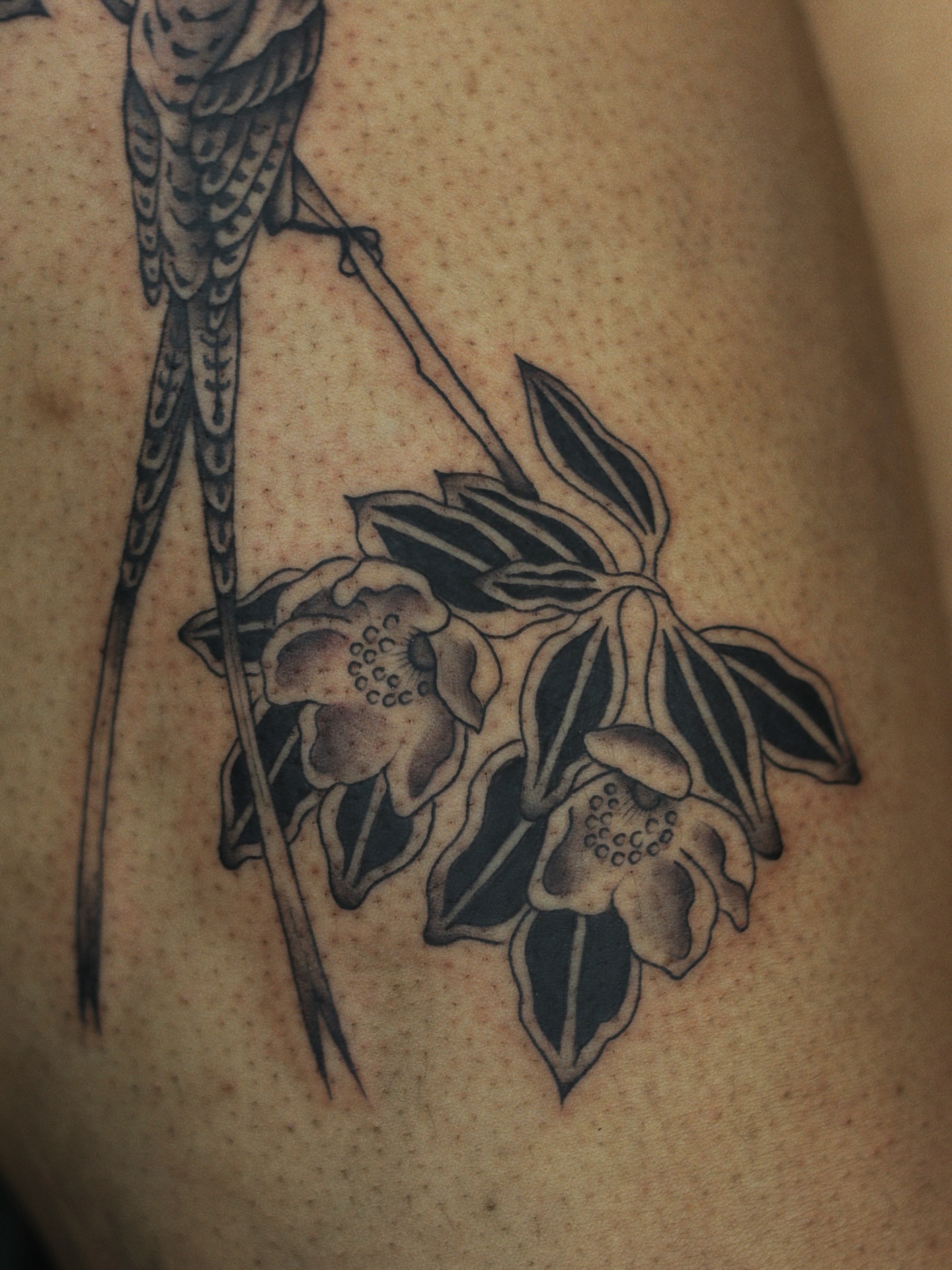 Tattoo by @nik.checots — black_and_grey