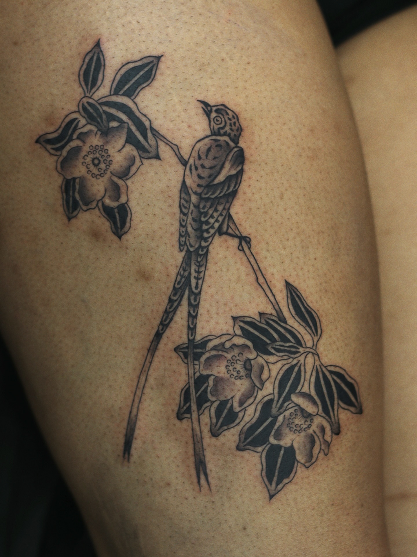 Tattoo by @nik.checots — black_and_grey