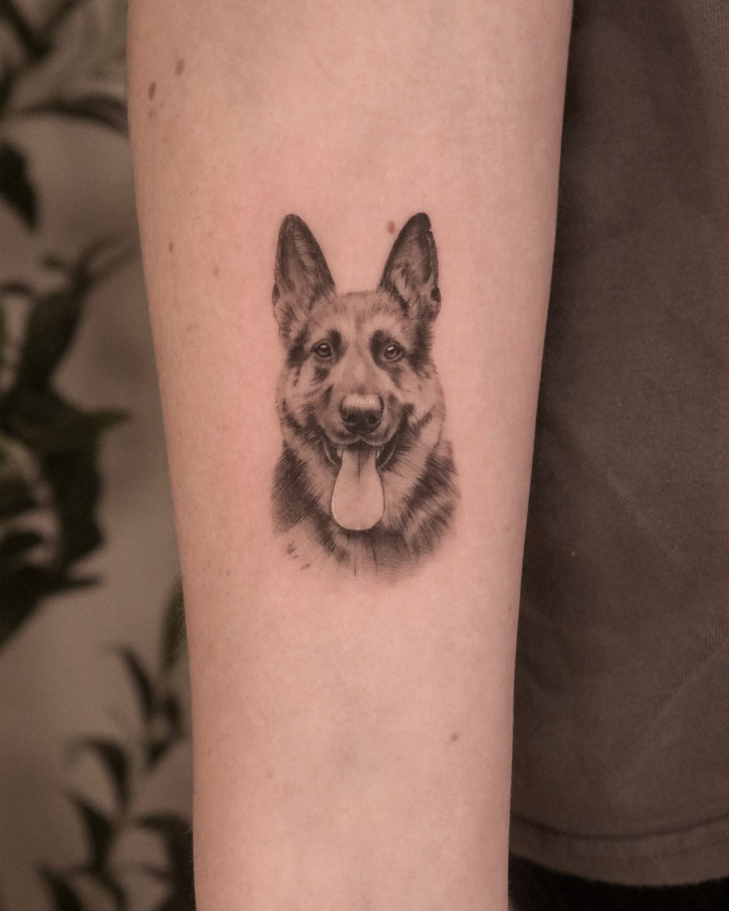 German shepherd realism tattoo on the forearm by Nicholas Solomon