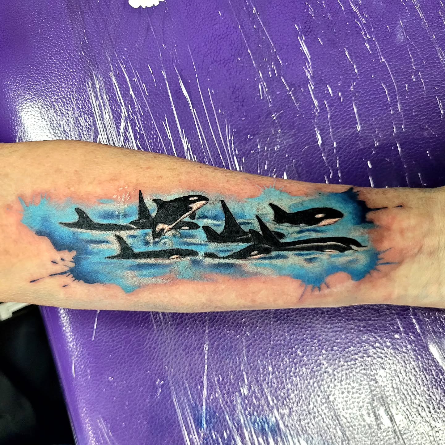 Killer whales realism tattoo on the forearm by Jentrey McCausland