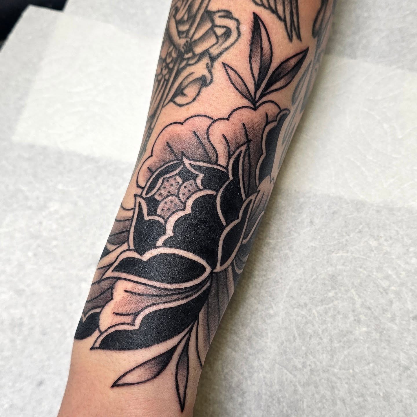 Peony American traditional tattoo on the forearm by A. Teixeira, Los Angeles, California