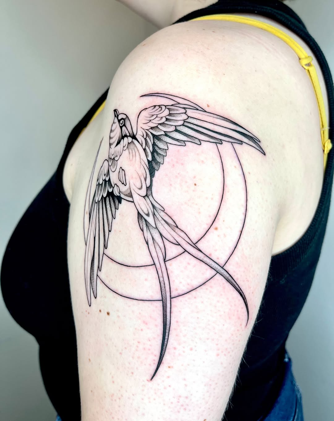 Swallow and moon fine line tattoo on the shoulder by carla, Brooklyn