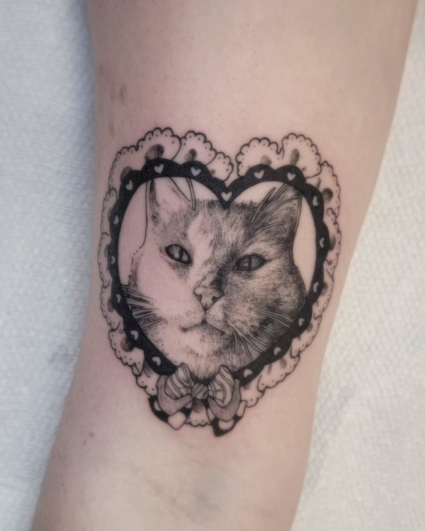 Cat dotwork tattoo on the forearm by Luca