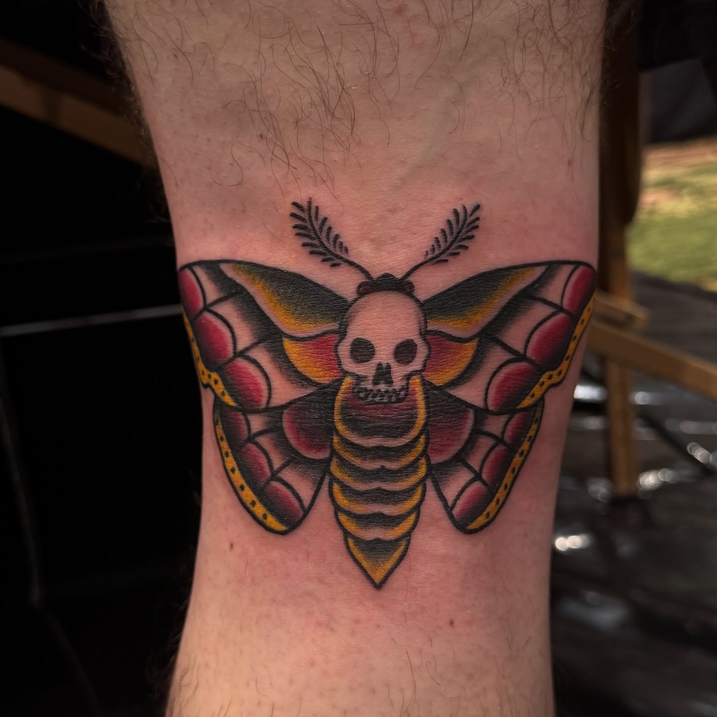 Moth with skull American traditional tattoo on the forearm by Eva, Matawan, New Jersey