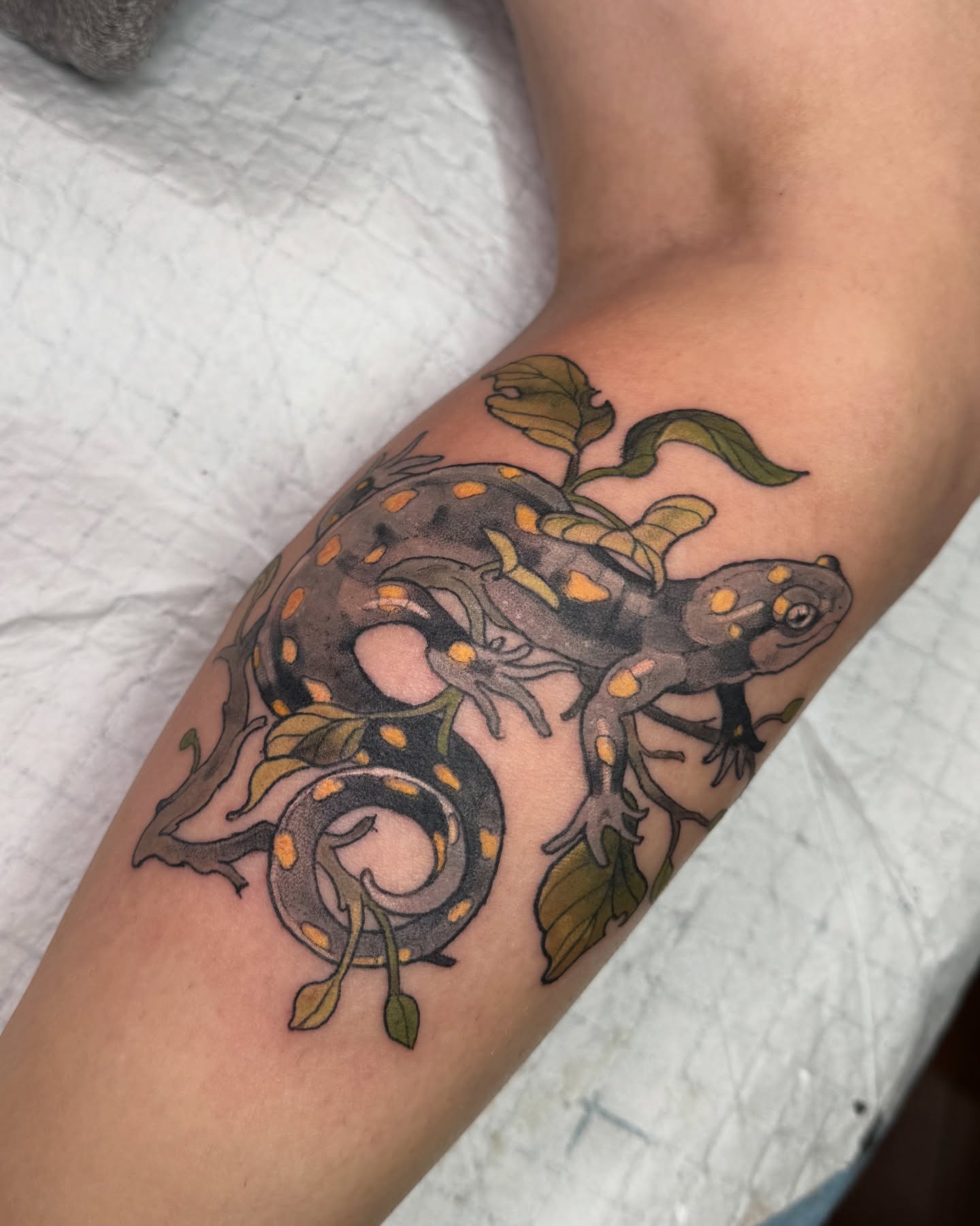 Tattoo by @scaledxwingstattoo โ realism