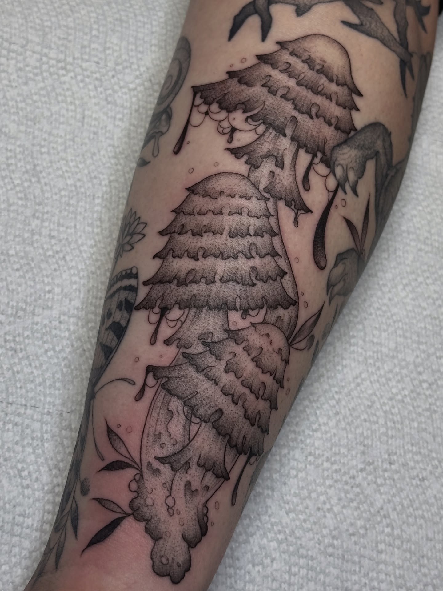 Tattoo by @tiffany.btattoos — dotwork
