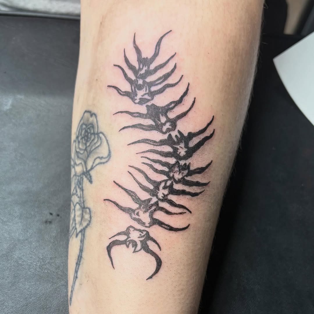 Centipede skeleton blackwork tattoo on the forearm by Madison