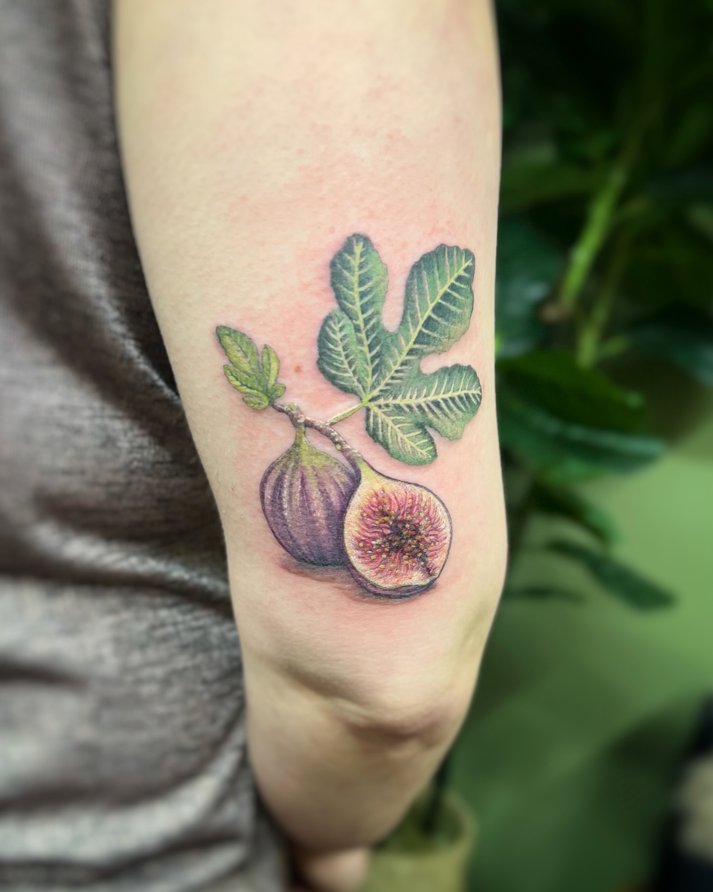 Figs realism tattoo on the forearm by sam cedar geller 🐝