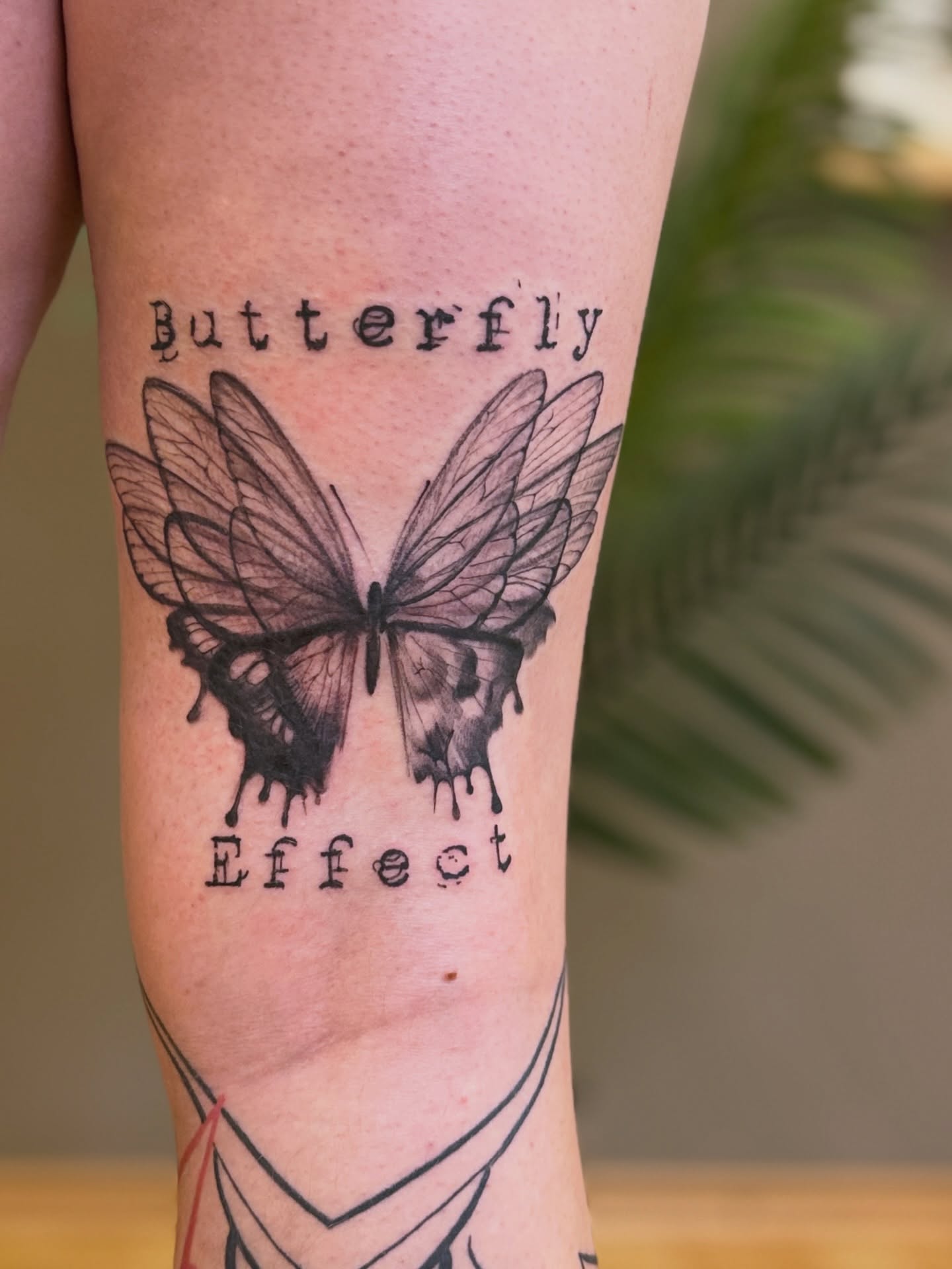 Butterfly effect black and grey tattoo on the forearm by Die Ivo, Bielefeld, Germany