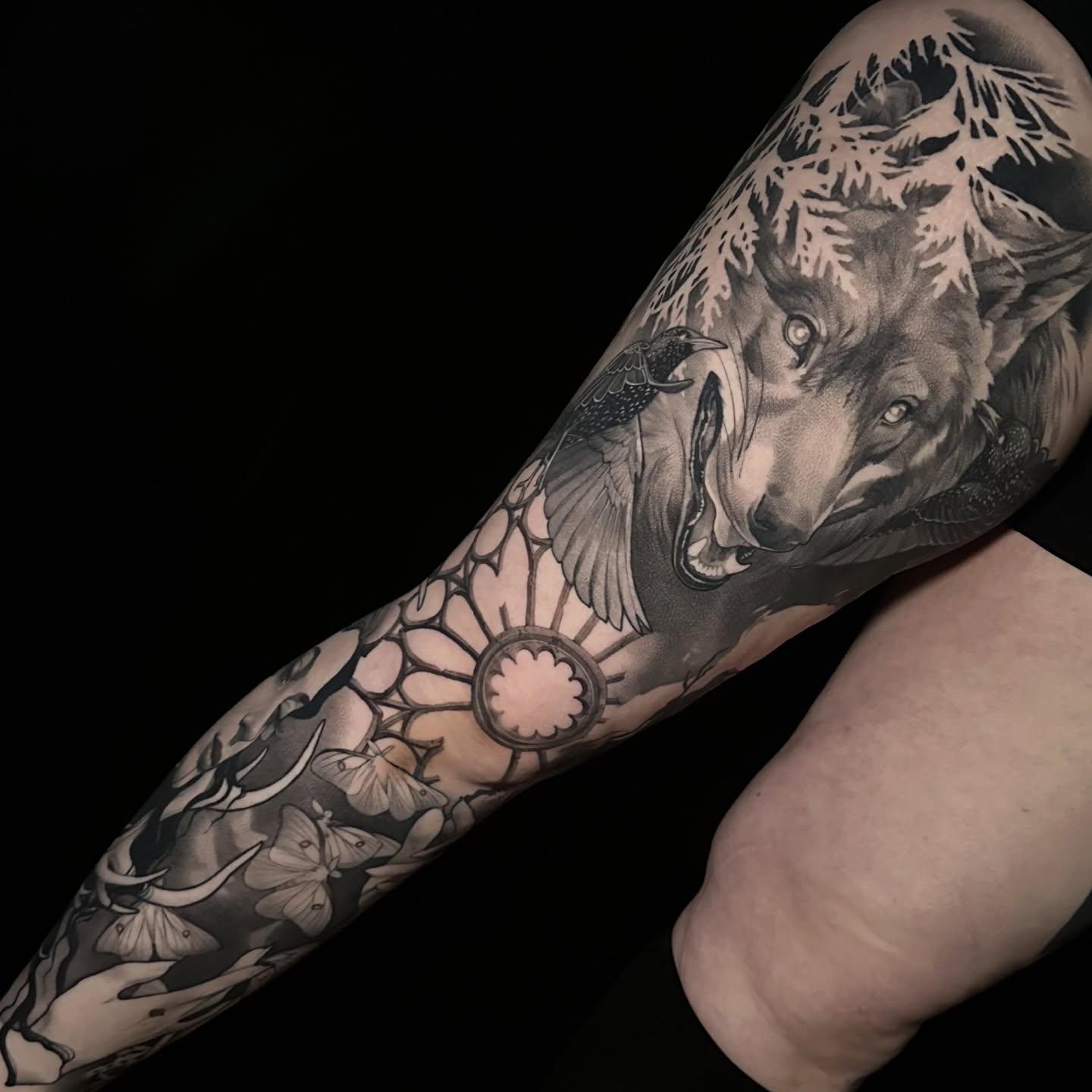 Wolf realism tattoo on the forearm by Breah Beshore Kirk