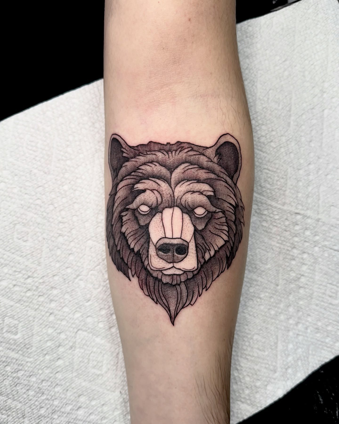 Bear head realism tattoo on the forearm by Eden Allen